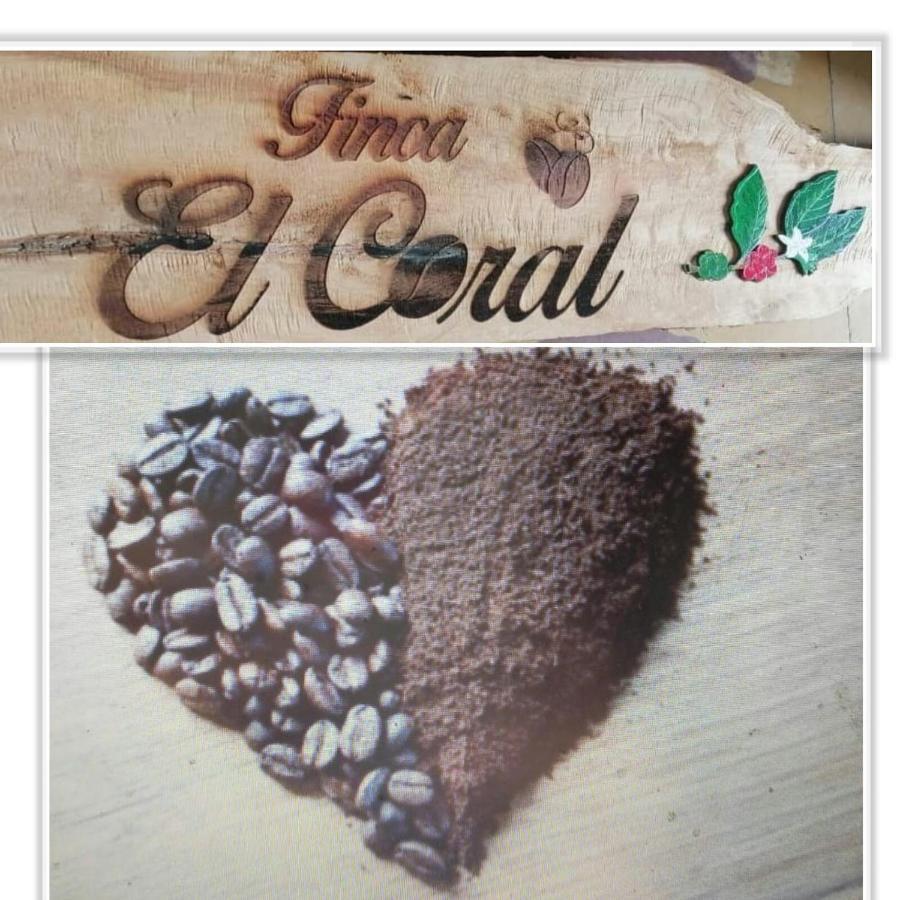 Finca Cafetera El Coral Jardín Zewnętrze zdjęcie