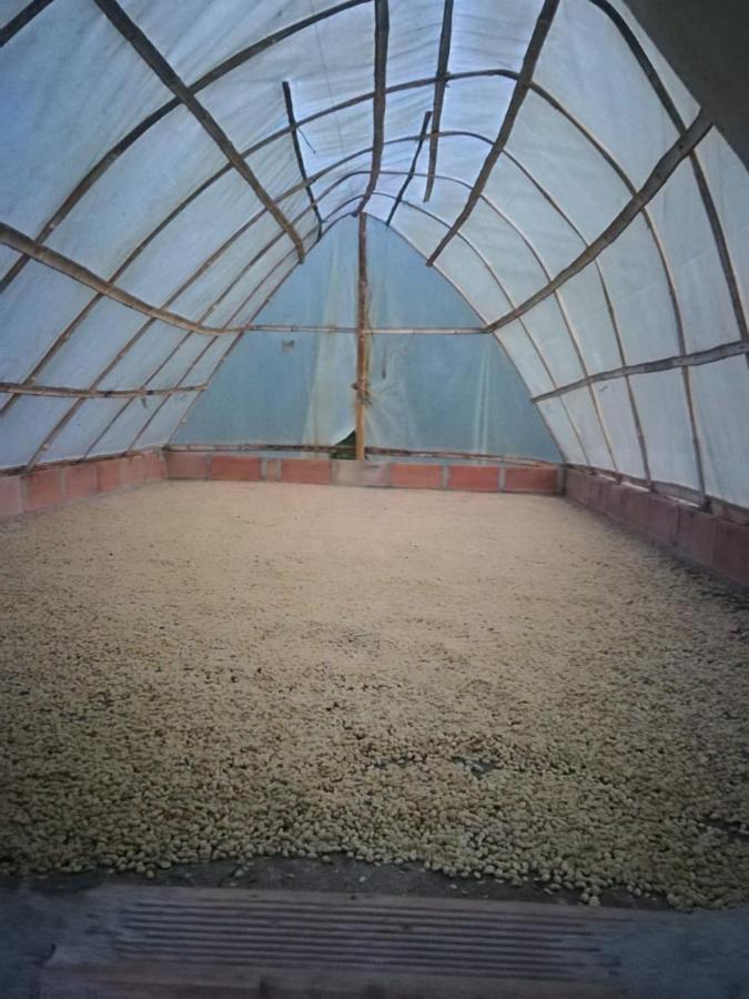 Finca Cafetera El Coral Jardín Zewnętrze zdjęcie